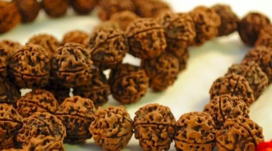 Amazing Benefits of wearing a Rudraksha