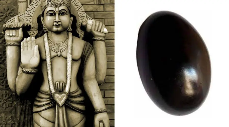 शालिग्राम पत्थर : शालिग्राम के स्वरूप से भगवान विष्णु के रूप का सम्बन्ध (Shaligram Patthar : Shaligram Ke Swarup Se Bhagwan Vishnu Ke Rup Ka Sambandh)