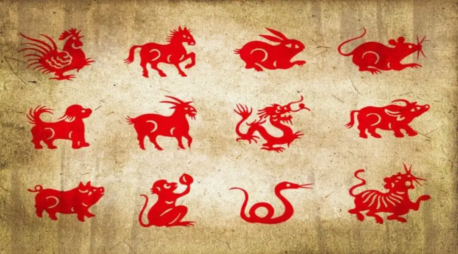 Zodiac Sign Spirit Animal Decoded! Find Out Who You Are