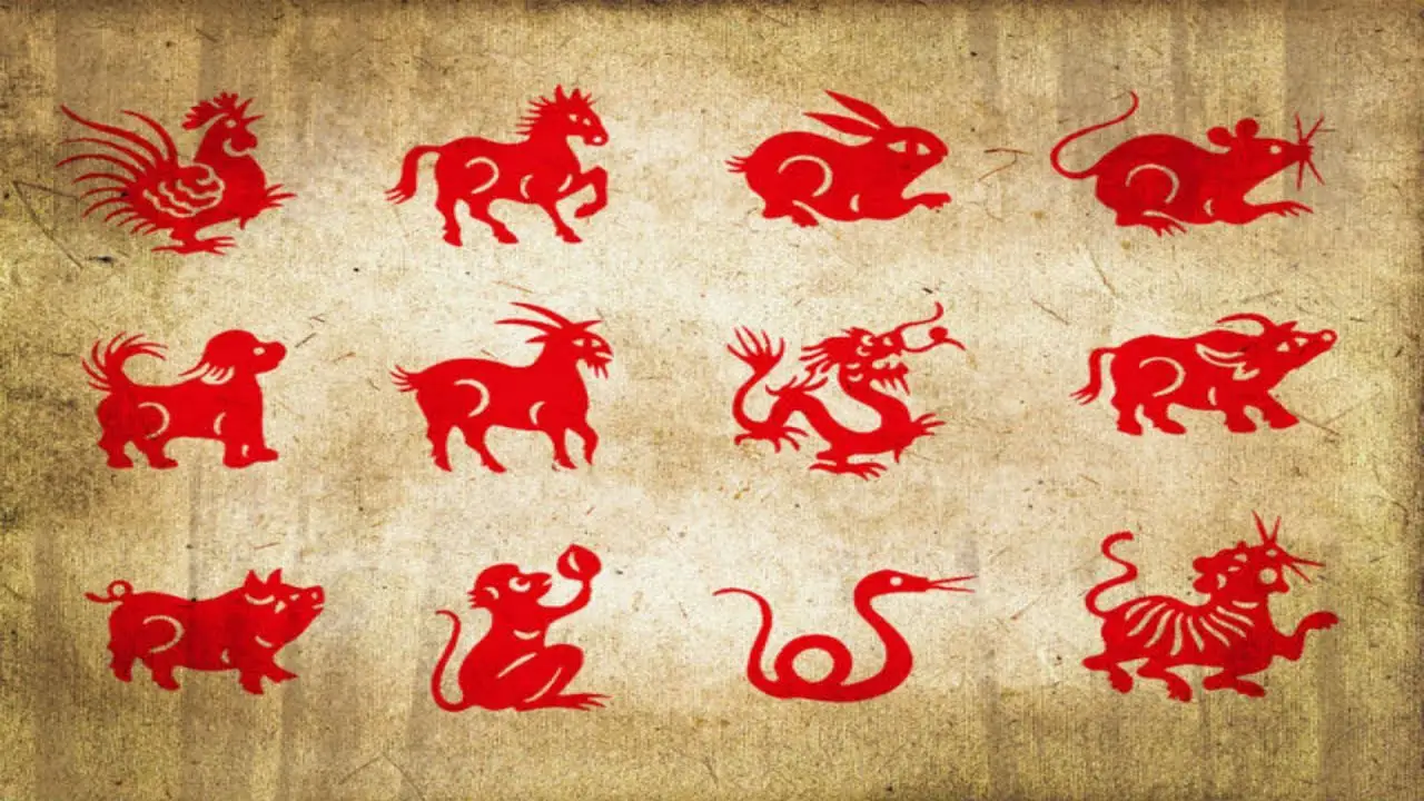 Zodiac Sign Spirit Animal Decoded! Find Out Who You Are - eAstroHelp