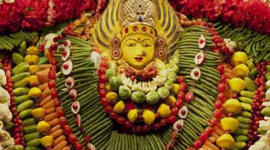 शाकम्भरी देवी आरती | Shakambhari Devi Aarti | Free PDF Download
