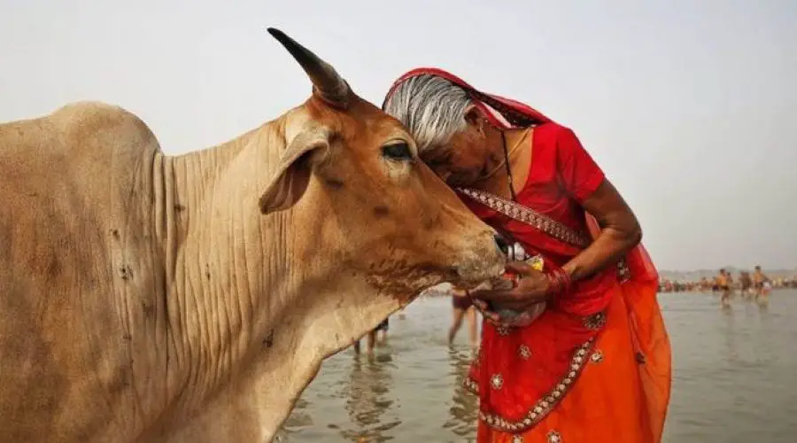 श्री गौमता जी की आरती (Shri Gaumata Ji Ki Aarti) | Free PDF Download