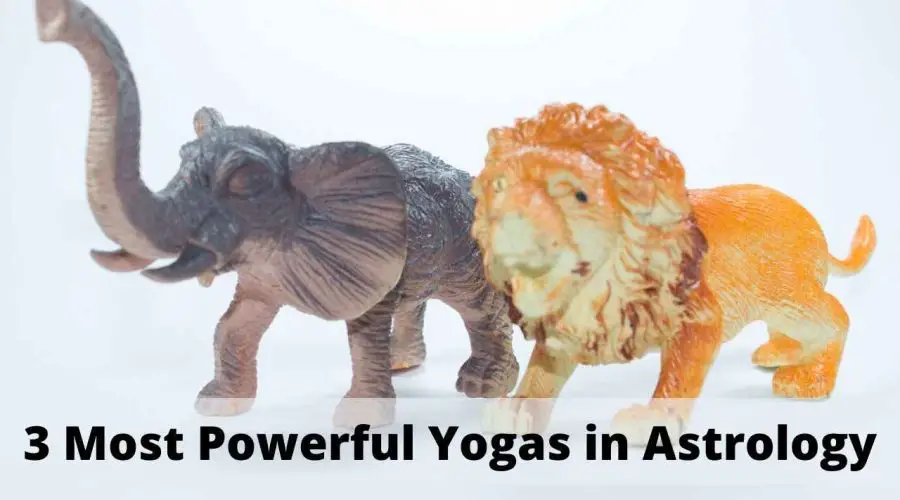 3 Most Powerful Yogas in Astrology : Find Out Which Yogas in Astrology are Rare!