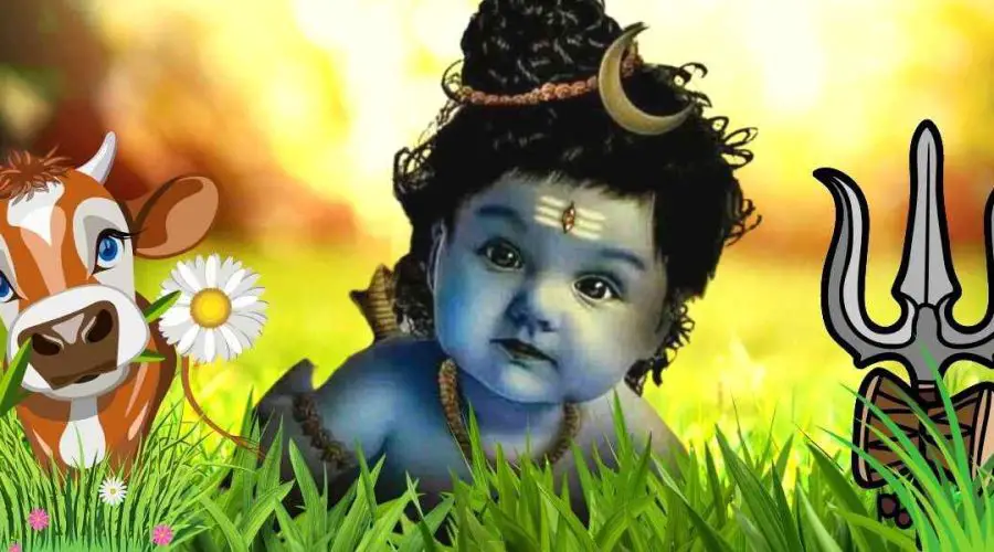 भगवान शिव के जन्म की कथा : जानिए कैसे, कब और कहां प्रकट हुए भगवान भोलेनाथ (Bhagwan Shiva Ke Janm Ki Katha : Janiye Kaise, kab, Aur kaha Prakat Hue Bhagwan Bholenath)
