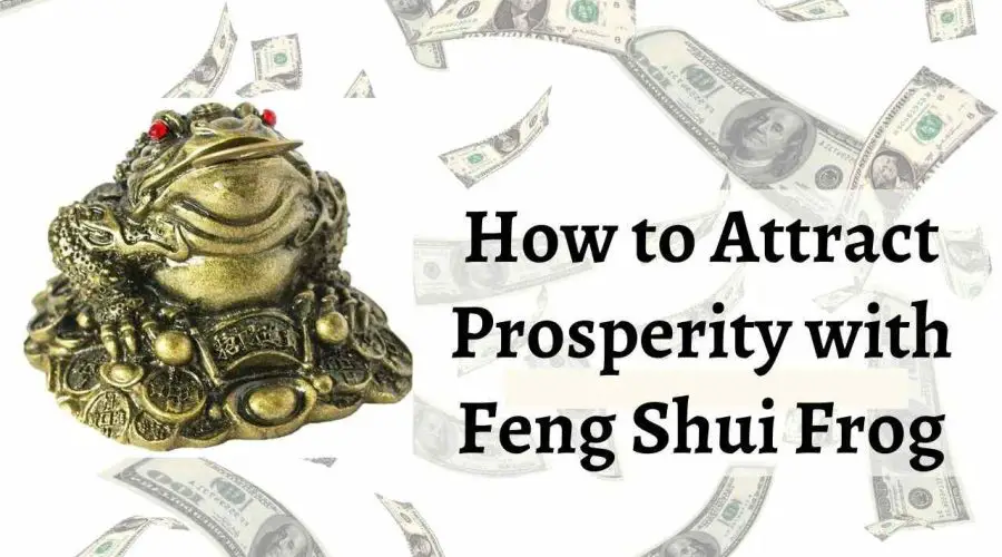 How to Attract Prosperity with Feng Shui Frog: Find Out How to Activate the Chinese Money Frog
