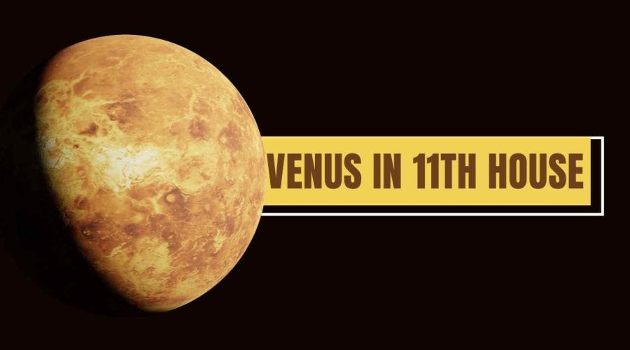 Venus in 11th House Predictions: Find out About Venus in 11th House Marriage and More!