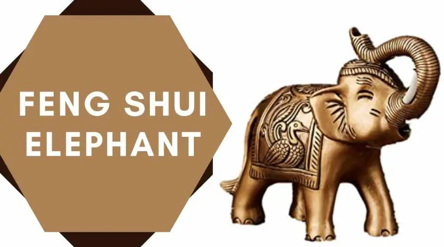 Feng Shui Elephant: Why Use Elephant Miniatures as a Part of Home Décor to Get Lucky?