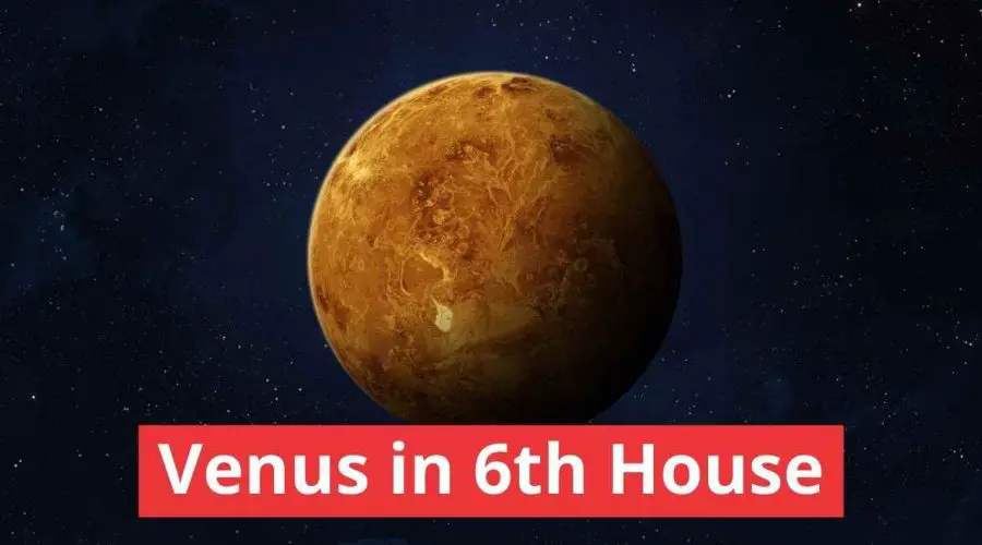 Venus in 6th House: Find Out About Venus in 6th House Marriage and More!
