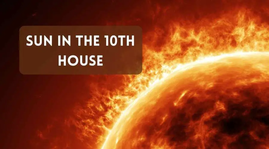 Sun in the 10th House: Find Out the Meaning and How Sun in 10th House Synastry Affects Life!