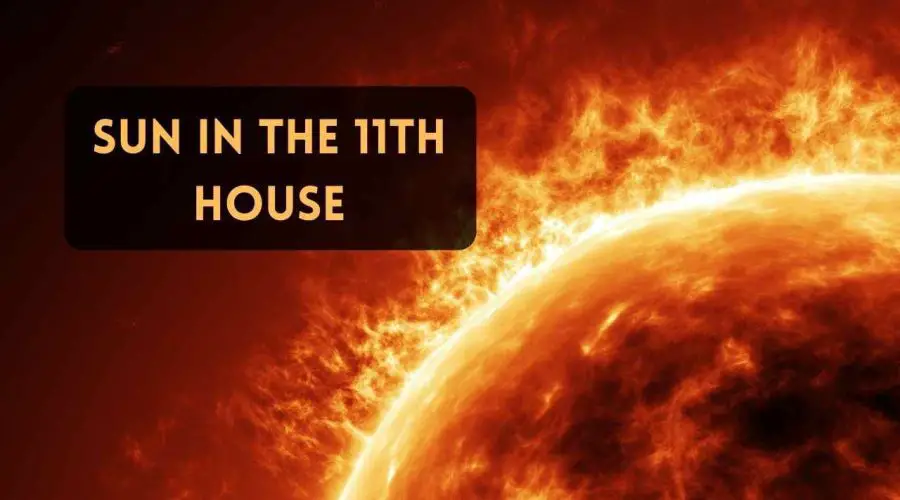 Sun in 11th House: Find the Effects of Sun in 11th House Synastry Here!