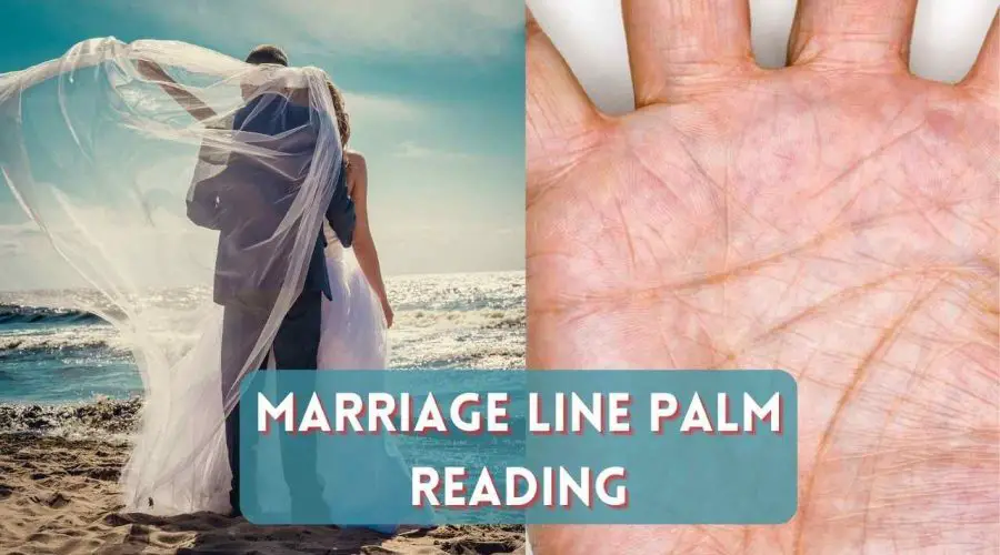 Marriage Line Palm Reading: Find Out What it Means!