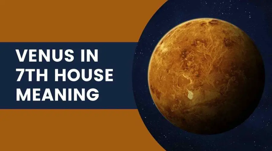 Venus in 7th House Meaning: Find Out About Venus in 7th House Marriage and More!