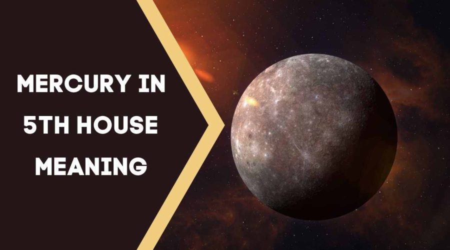 Mercury in 5th House Meaning: Effects on Career and Marriage!