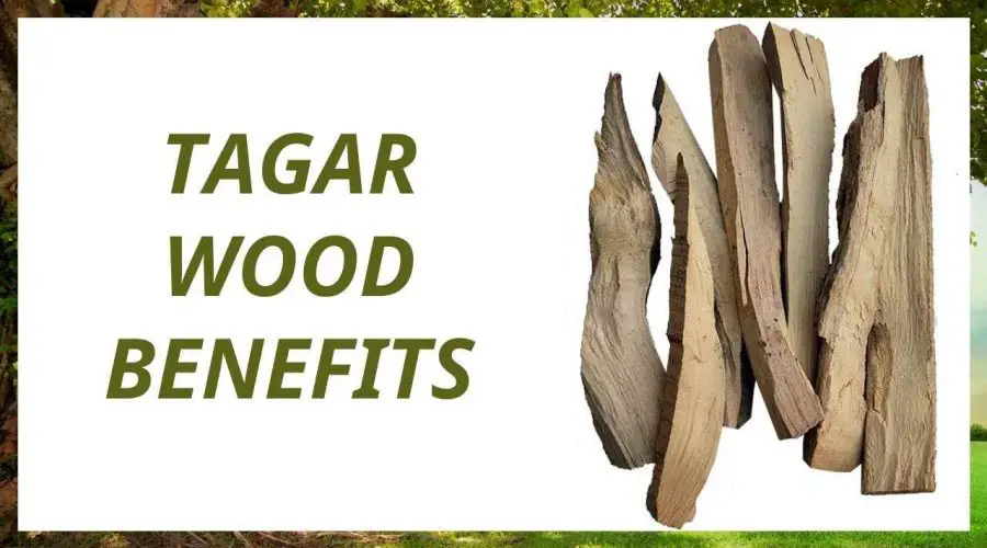 Tagar Wood Benefits (तगर के लाभ) in Ayurveda, Health Benefits