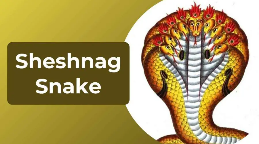 1000 Headed Sheshnag Snake – Recalling the Classic Legend