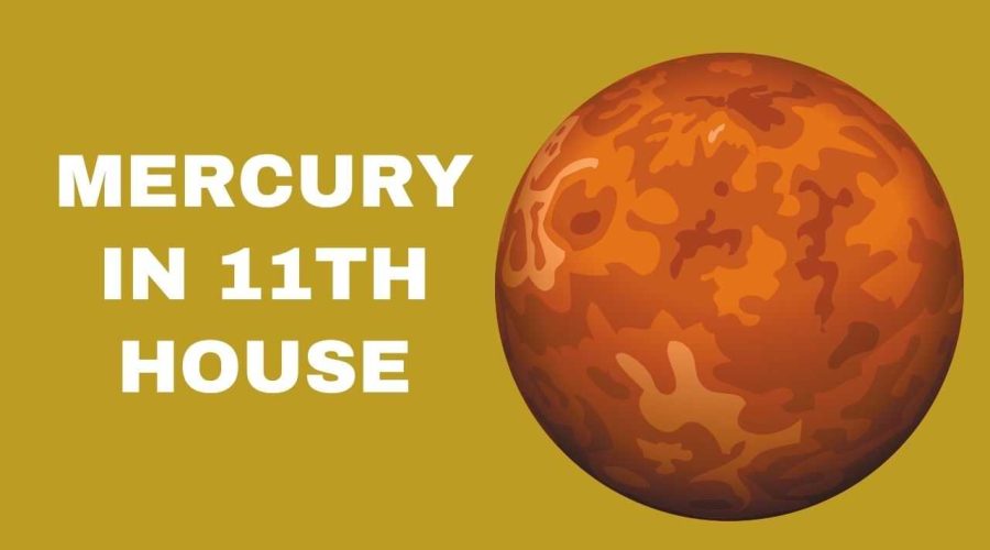 Mercury in 11th House: Find the Effects on Career, Health, and More!