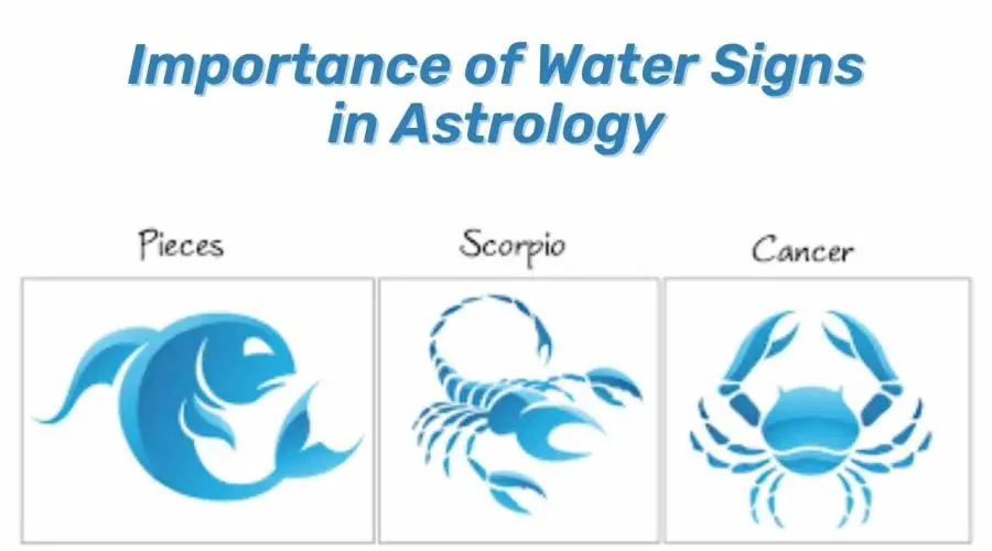 Importance of Water Signs in Astrology: Cancer, Pisces, and Scorpio!