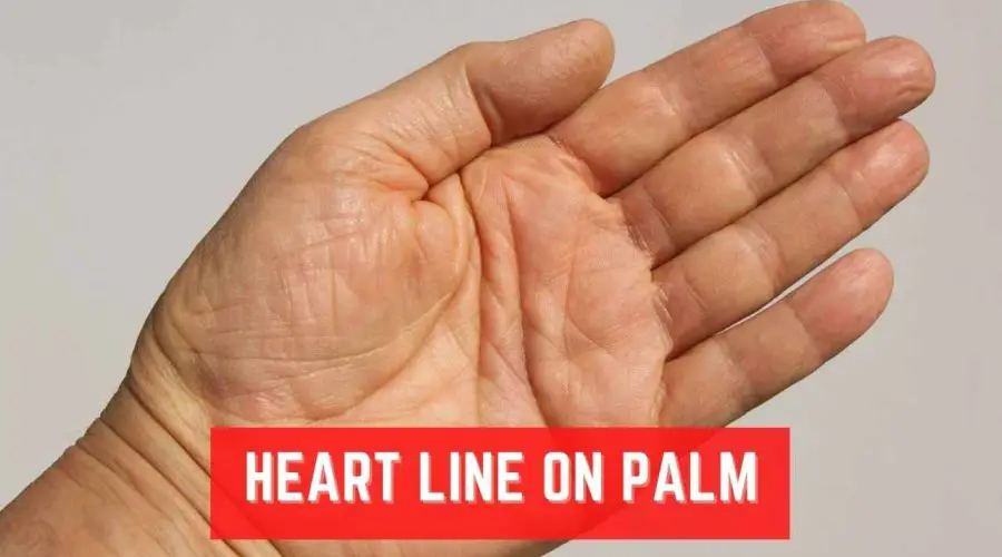 Heart Line on Palm: Where to Locate it and What’s Its Meaning?