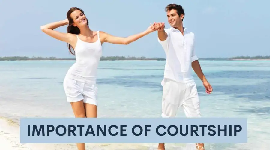Importance of courtship: Why do couples prefer courting before marriage?