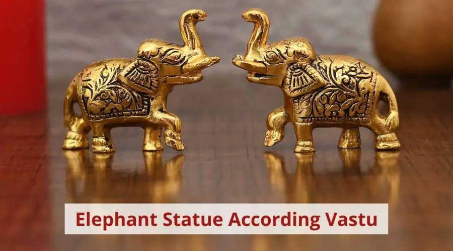 Elephant Statue in Home According Vastu: Bring Wealth, Love and Happiness