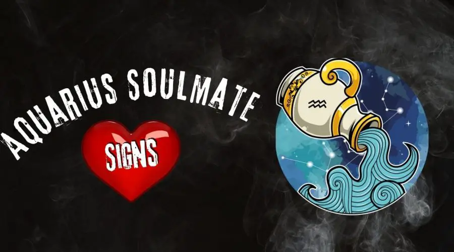 Top 3 Zodiacs that are Aquarius Soulmate Signs
