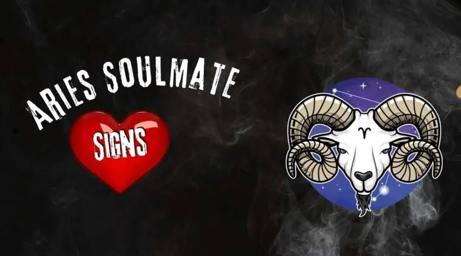 Top 4 Aries Soulmate Signs: Is it worth Dating an Aries person?