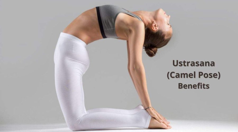 Ustrasana (Camel Pose) in Yoga: Benefits, Steps and Precautions