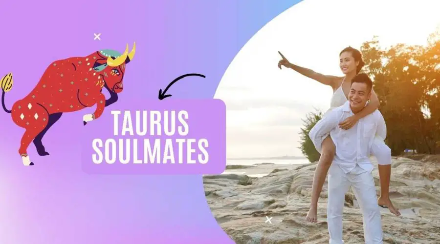 Top 4 Taurus Soulmates: who should a Taurus born marry?