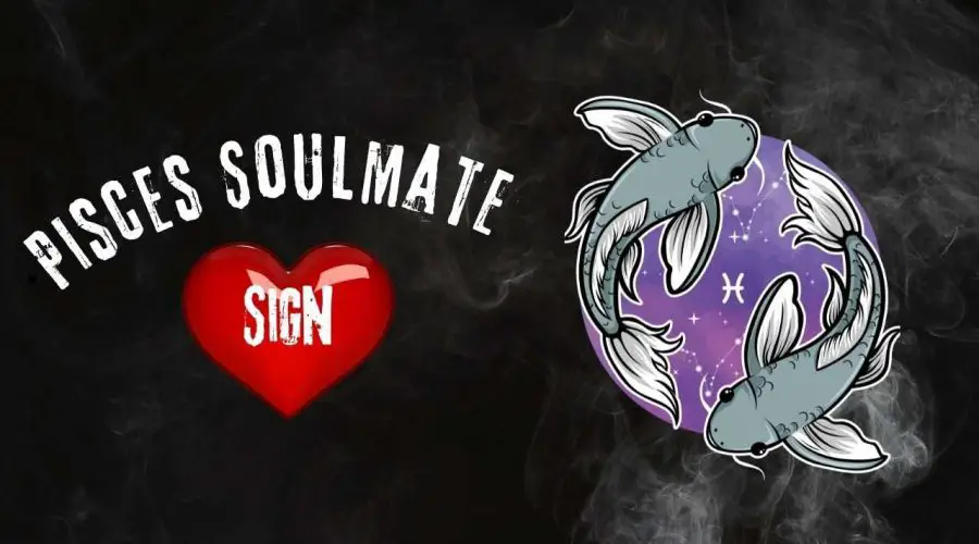 Top 3 zodiac signs that are perfect soulmates for Pisces: Find out if you are one