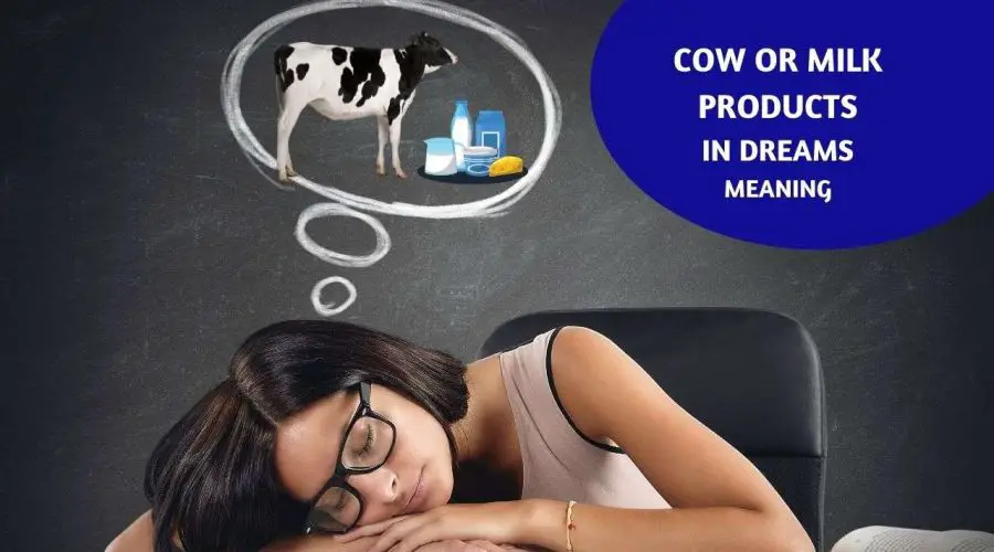 Know the Meaning of Seeing Cow or Milk products in Dreams