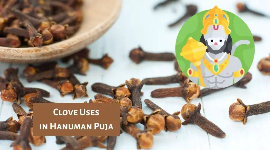 Why we use Clove (लौंग ) in Hanuman Puja | Know the Answer