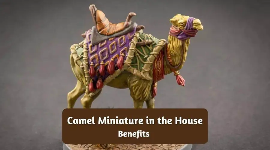 Benefits of keeping Camel miniature in the House | As per Vastu Shastra