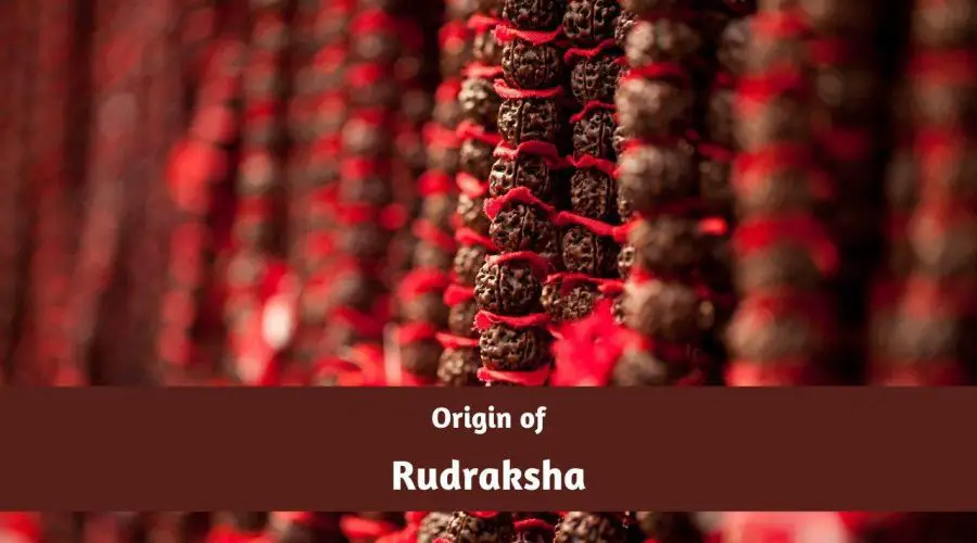 Know the Origin of Rudraksha in Hinduism
