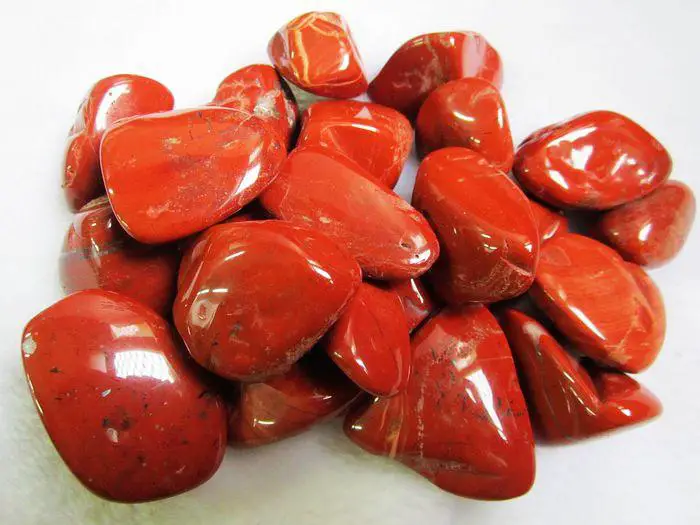 Red Coral