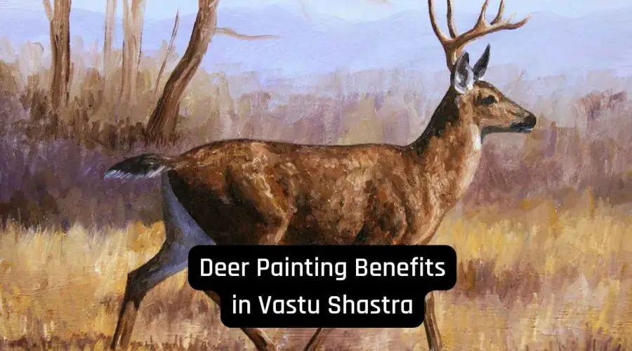 Deer Painting in Home According to Feng Shui: Benefits of Deer Painting in Vastu Shastra