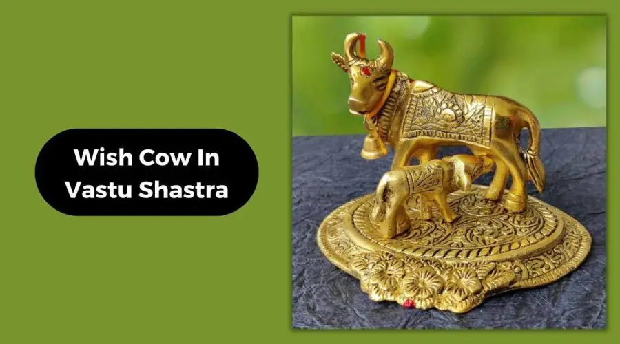 Wish Cow In Vastu Shastra: Benefits of Wish Cow According to Feng Shui