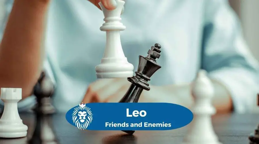 Are you a Leo? Unravelling Your Friends and Enemies