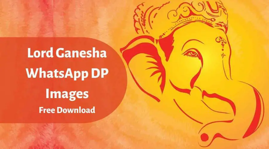 Free Download Beautiful Lord Ganesha WhatsApp DP Images | 1080p Vinayaka DP Images | Ganesh JI DP Images | Ganesh Chaturthi DP Images