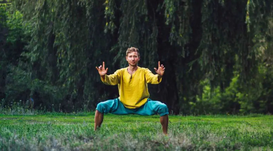 How Mastering a Horse Stance Can Be Life Changer: Biggest Health Secret Revealed