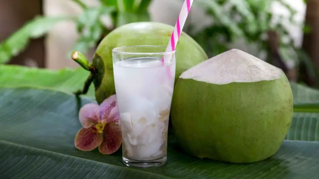 Coconut Water