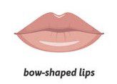 Bow Shaped Lips