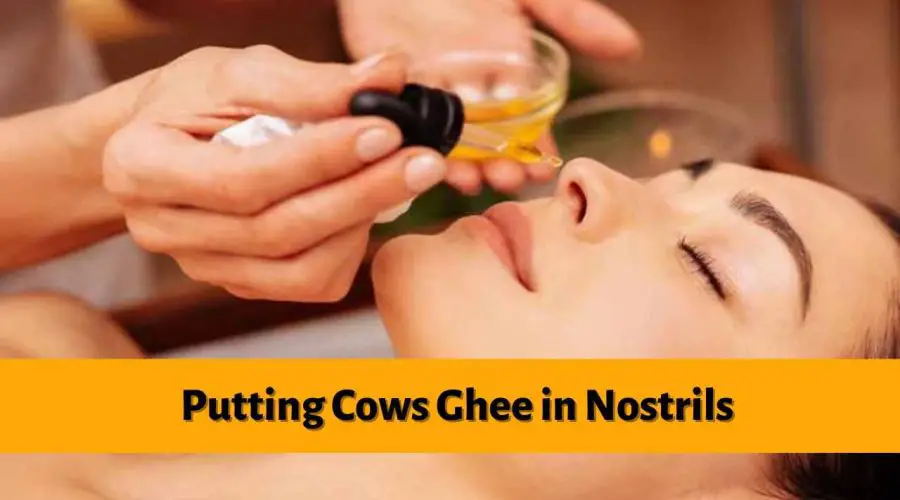 Putting Cow’s Ghee in Nostrils? Know Why This Ayurveda Therapy is the BEST Health Advice For YOU