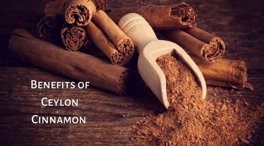 Know the Superfood Ceylon Cinnamon and its Amazing Health Benefits | [BONUS] Recipe for Best Weight Loss Drink