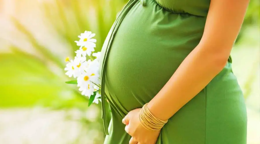 Top 6 Fun Things A Pregnant Woman Must Do Before Having Her Baby