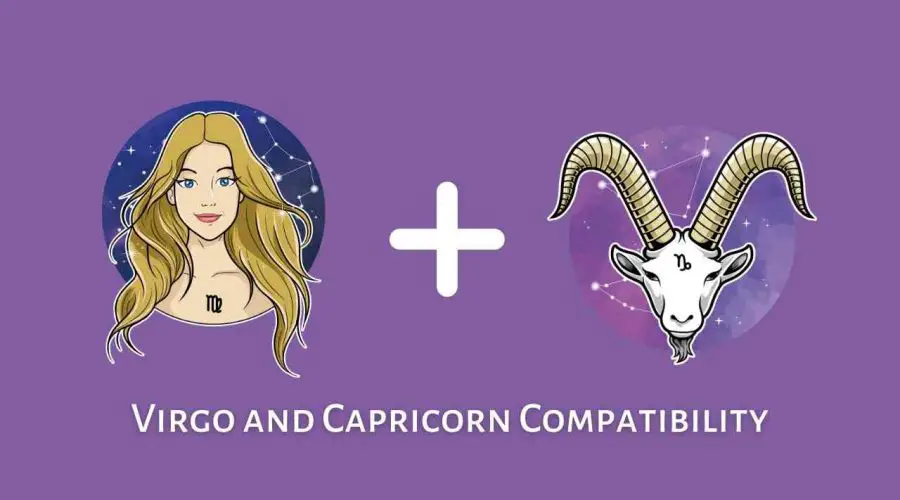 Virgo and Capricorn Compatibility – Are Virgo and Capricorn Compatible? | Virgo Man and Capricorn Woman Compatibility