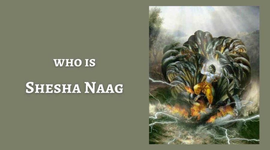 All You need to know about “Shesha Naag” (Shesha Snake)