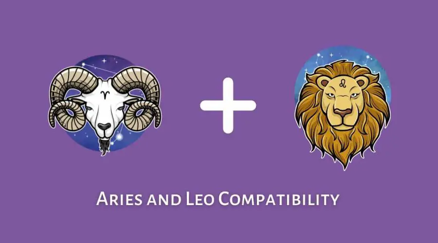 Aries and Leo Compatibility – Are Leo and Aries Compatible? [Updated 2023]