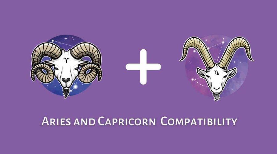 Aries and Capricorn Compatibility – Are Capricorn and Aries Compatible? | Capricorn Man And Aries Woman Compatibility