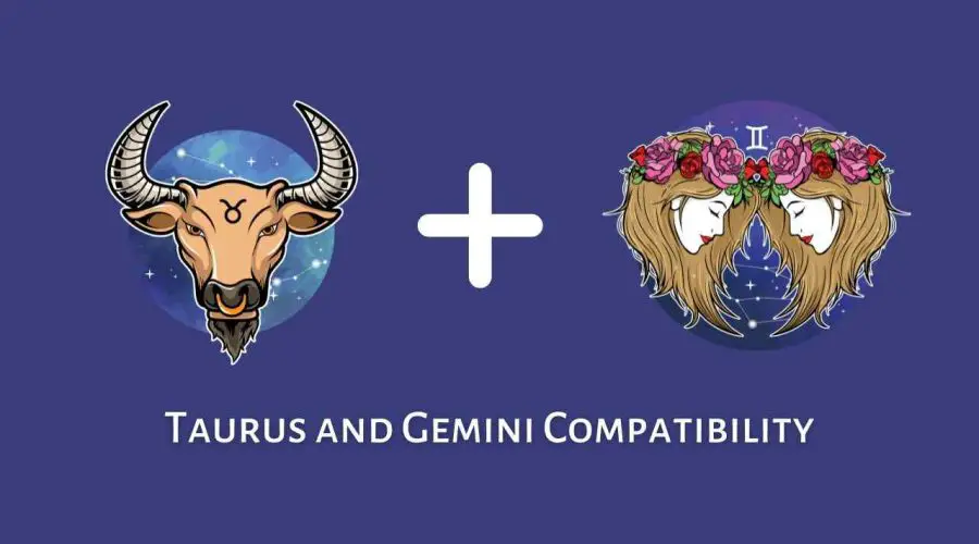 Taurus and Gemini Compatibility – Are Gemini and Taurus Compatible? [Updated 2023]