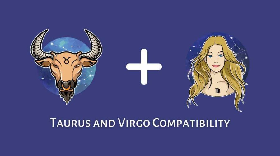 Taurus and Virgo Compatibility – Are Virgo and Taurus Compatible? [Updated 2023]